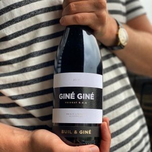 Read more about the article GINÉ GINÉ, “Best Priorat”
